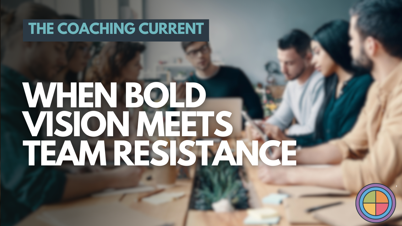 When Bold Vision Meets Team Resistance